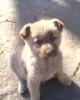 clip_image002-2